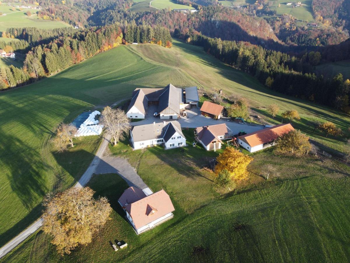 Semriach Ferienhaus Reisinger Promschhof מראה חיצוני תמונה