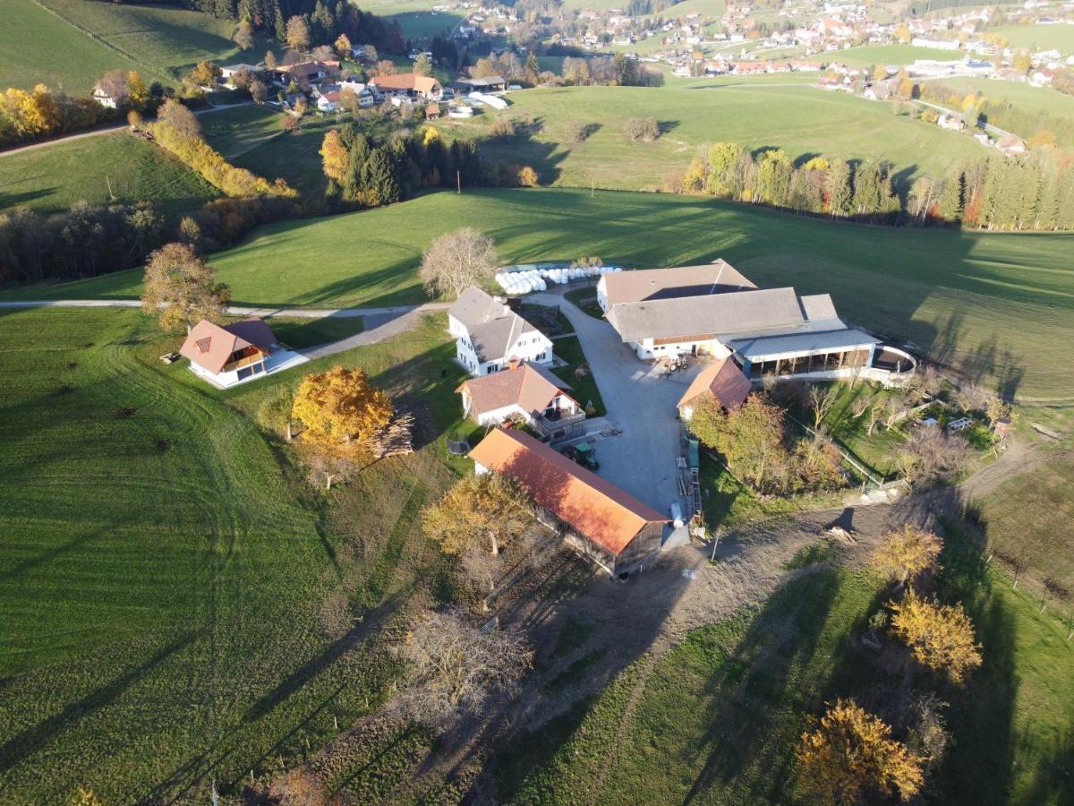 Semriach Ferienhaus Reisinger Promschhof מראה חיצוני תמונה