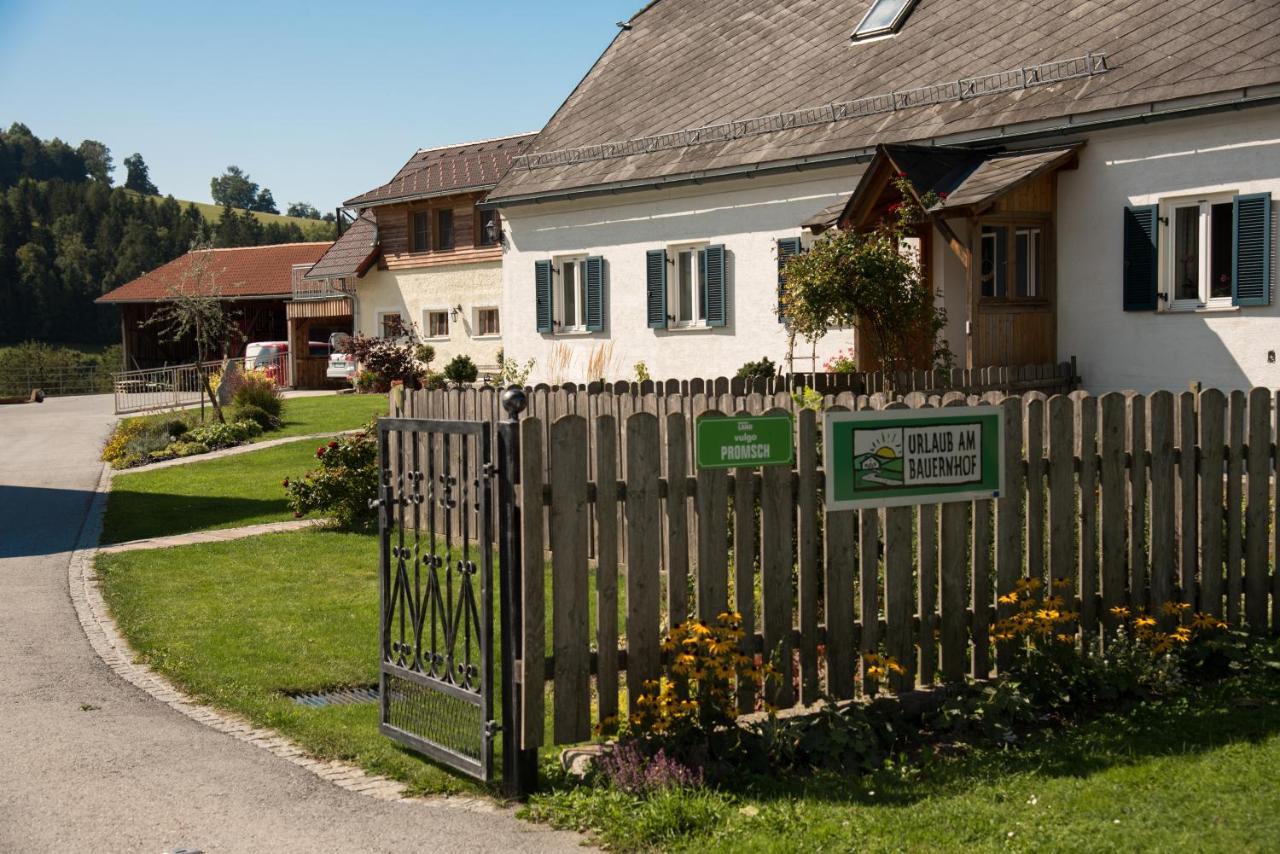 Semriach Ferienhaus Reisinger Promschhof מראה חיצוני תמונה