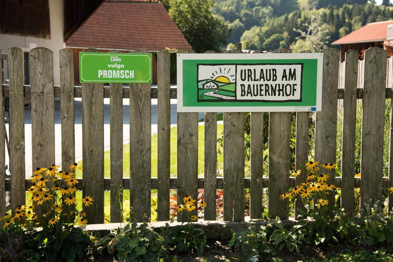 Semriach Ferienhaus Reisinger Promschhof מראה חיצוני תמונה